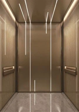 Elegant 450kg Small Passenger Elevator
